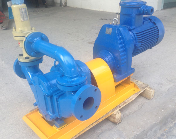 無(wú)堵塞轉(zhuǎn)子泵