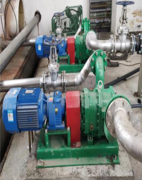 豬糞轉(zhuǎn)子泵是否會(huì)在運(yùn)行時(shí)頻繁堵塞